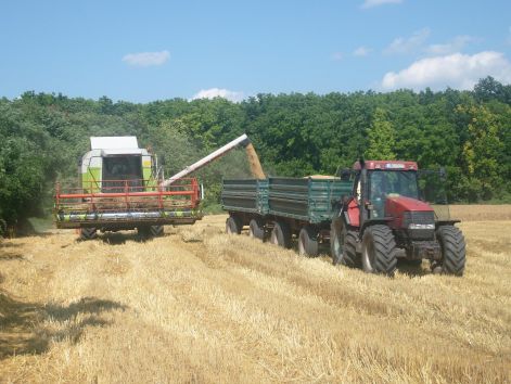 claas_204.jpg
